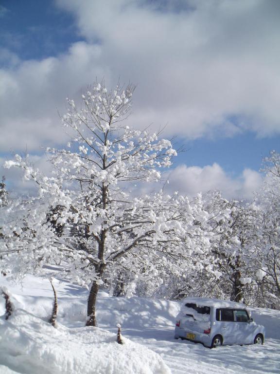 Pension Green Lake Gujo Luaran gambar
