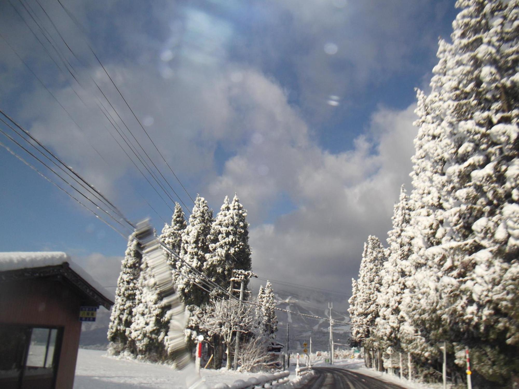 Pension Green Lake Gujo Luaran gambar